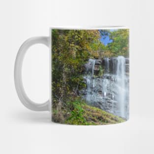 Amicalola Falls, Georgia, in Autumn Mug